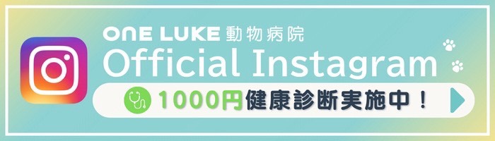 ワンルーク 公式インスタグラムはこちら
