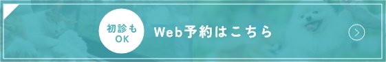 Web予約はこちら