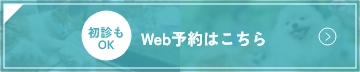 Web予約はこちら